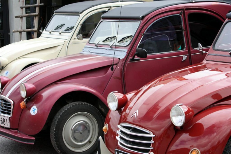 IMG_3328 _Large_.jpg